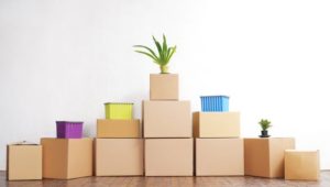 Narayana Packers and Movers Adarsh Nagar