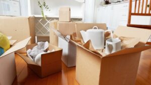 Narayana Packers and Movers Mansarovar